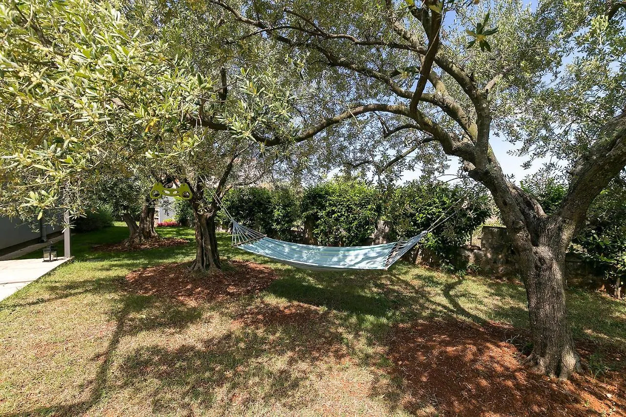 Apartments Dama Porec